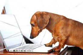 Online Discussions—Old Dogs Do Learn New Tricks